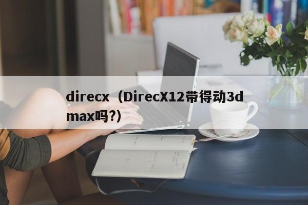 direcx（DirecX12带得动3dmax吗?）