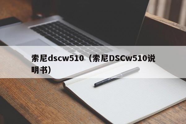 索尼dscw510（索尼DSCw510说明书）