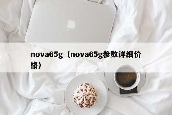 nova65g（nova65g参数详细价格）
