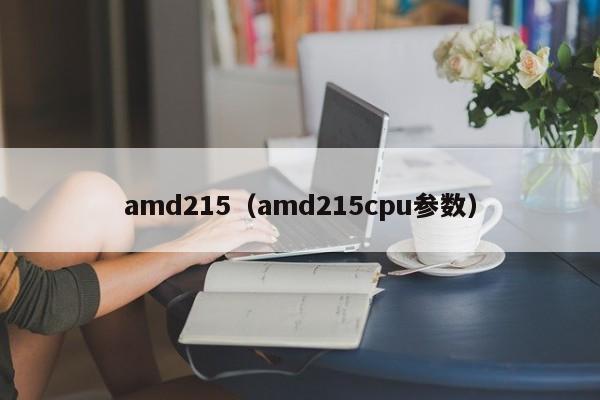 amd215（amd215cpu参数）