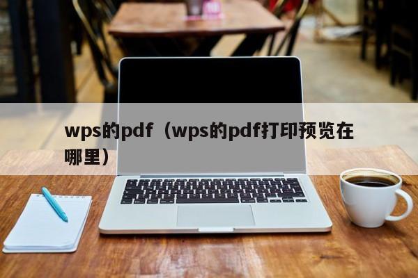 wps的pdf（wps的pdf打印预览在哪里）