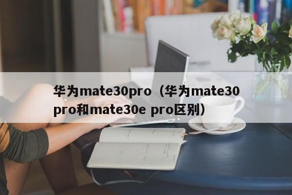 华为mate30pro（华为mate30pro和mate30e pro区别）