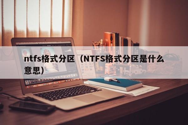 ntfs格式分区（NTFS格式分区是什么意思）