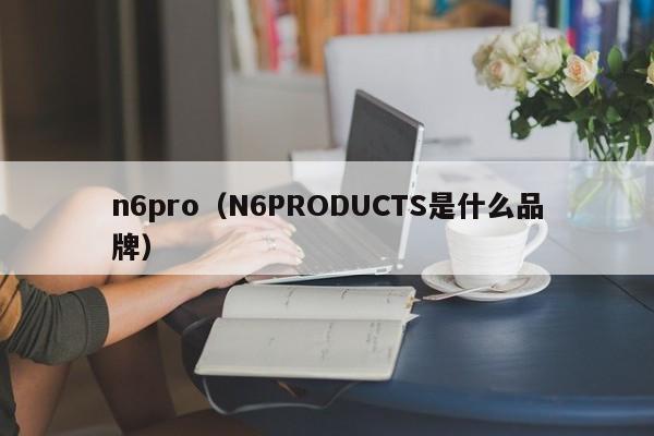 n6pro（N6PRODUCTS是什么品牌）