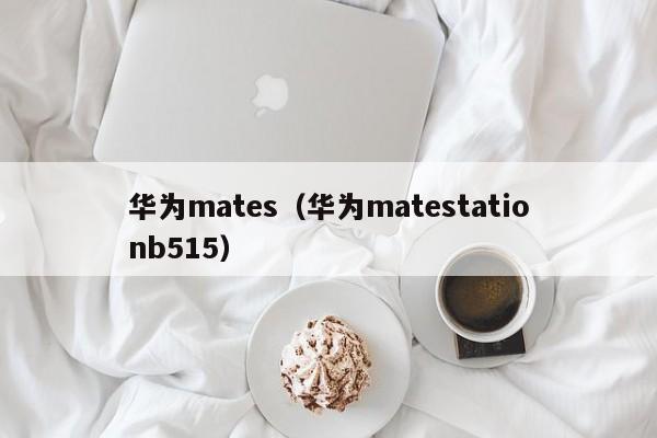 华为mates（华为matestationb515）