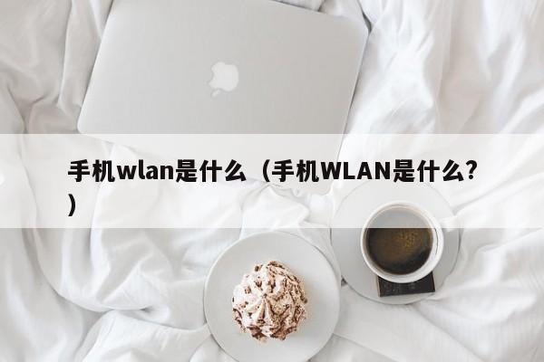 手机wlan是什么（手机WLAN是什么?）