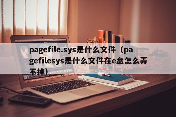 pagefile.sys是什么文件（pagefilesys是什么文件在e盘怎么弄不掉）