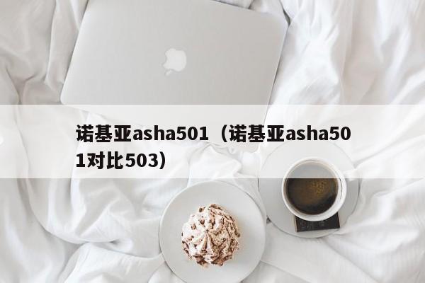 诺基亚asha501（诺基亚asha501对比503）